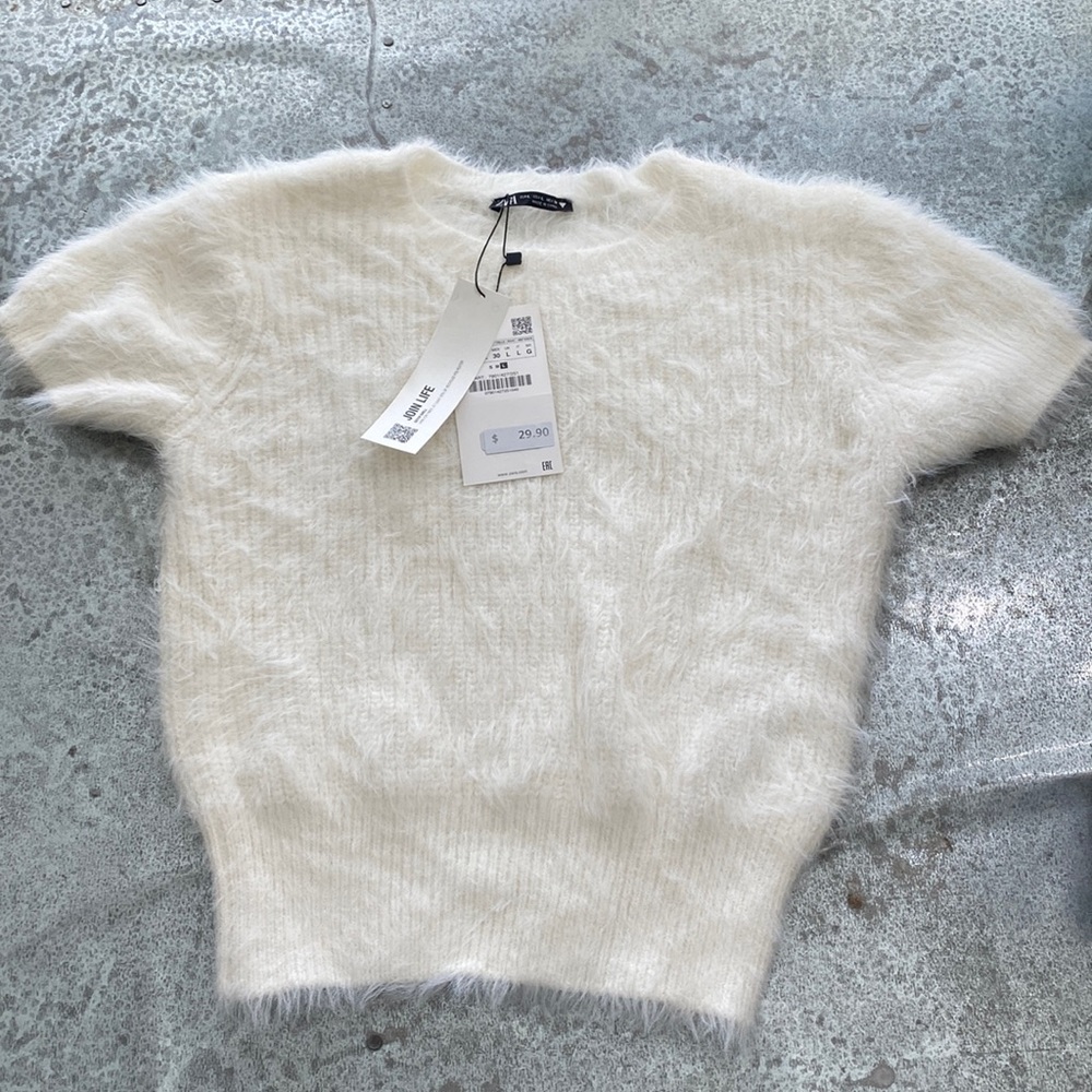 Zara Fuzzy Sweater